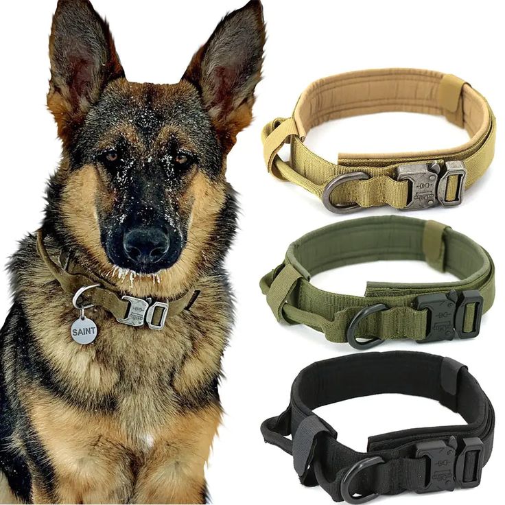 PET COLLARS, LEASHES & HARNESSES