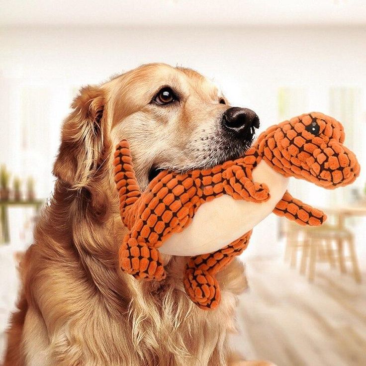 DOG TOYS