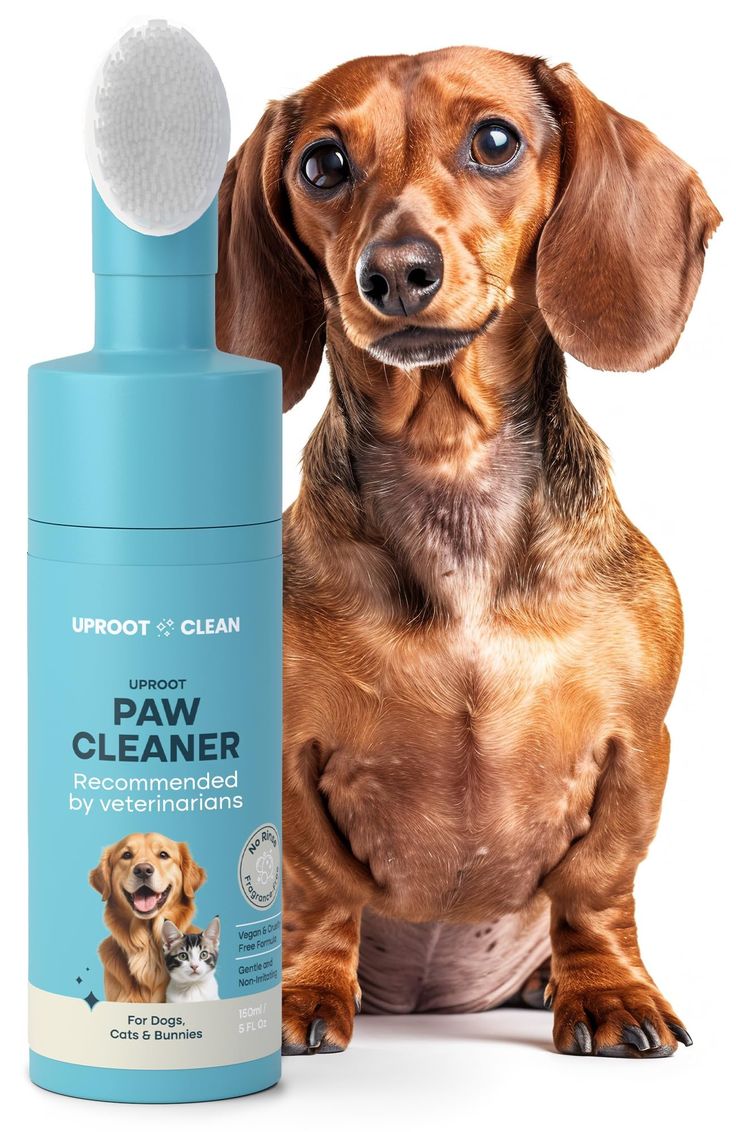 PET CLEANING & HYGIENE