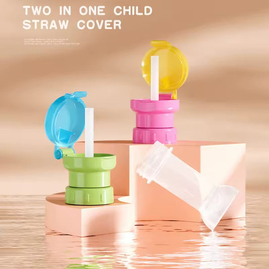 2-1 Water Bottle Straw Cap