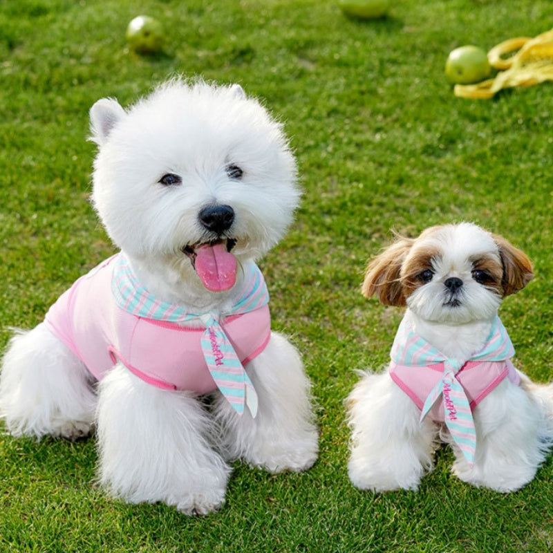 Pet Dog Cat Cloak Scarf Vest