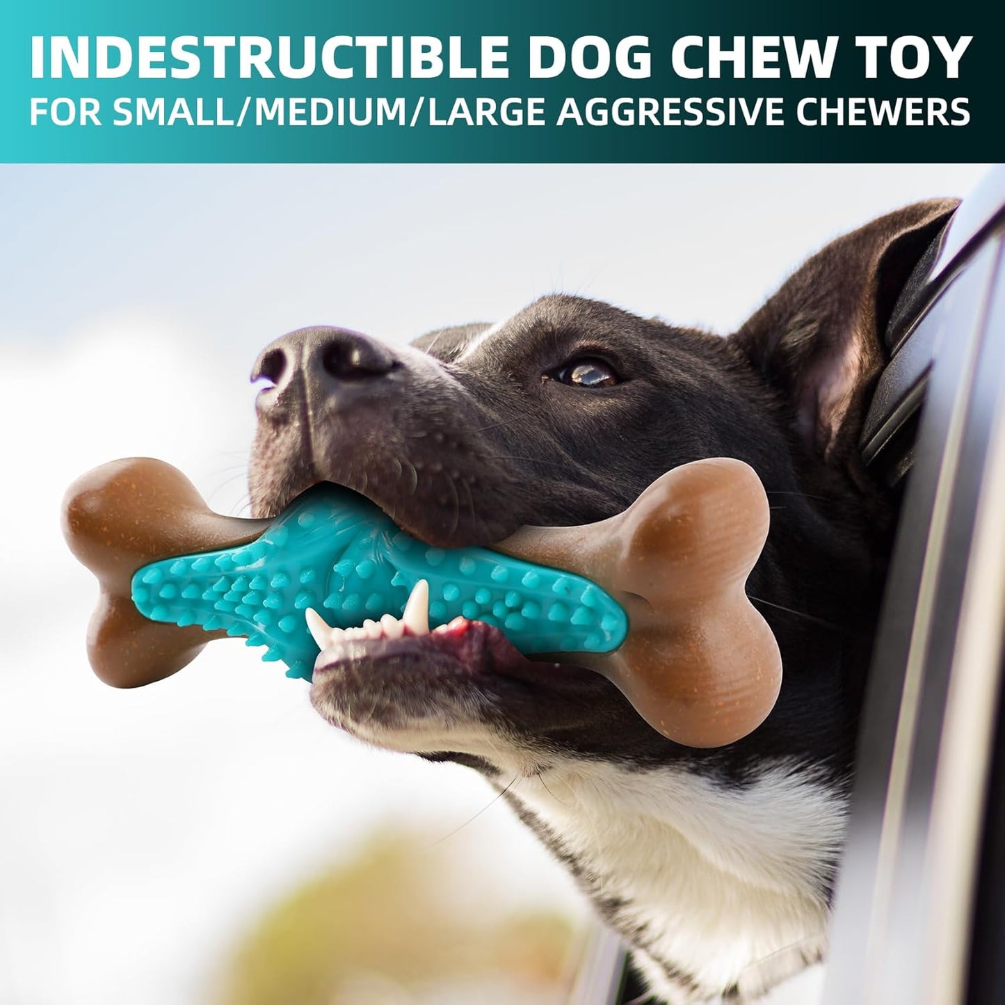 Dog Chew Toy For Large Dogs, Rubber Bone Dog Toys For Aggressive Chewers Large Breed, Teething Chew Toys Medium Dogs, Interactive Dental Health Aid, Supports Healthy Chewing Behavior