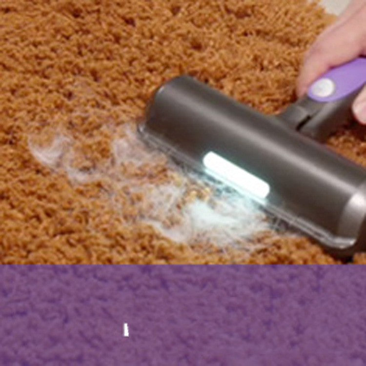 Pet Roller Hair Adhesive With Light